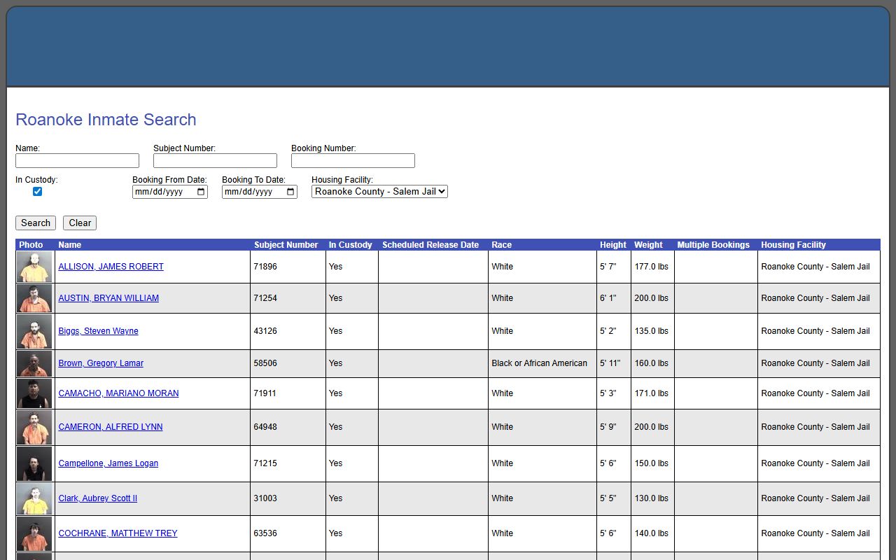 Roanoke County jail mugshots in current roster result rows